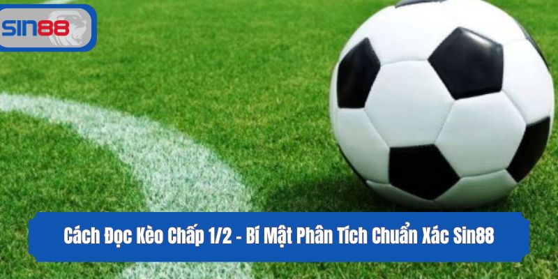 Cách Đọc Kèo Chấp 1/2 - Bí Mật Phân Tích Chuẩn Xác Sin88
