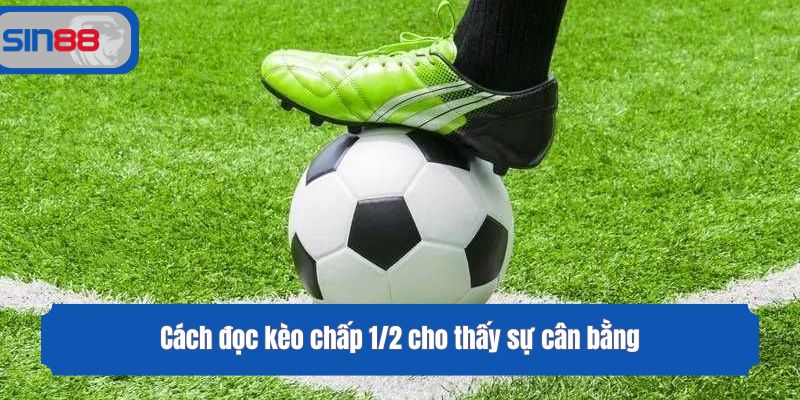 Cách đọc kèo chấp 1/2 cho thấy sự cân bằng