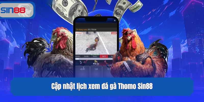 Cập nhật lịch xem đá gà Thomo Sin88
