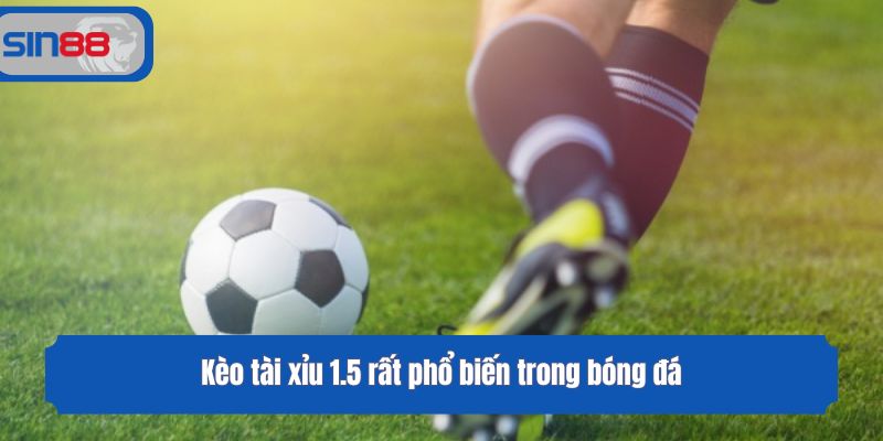 Kèo tài xỉu 1.5 rất phổ biến trong bóng đá
