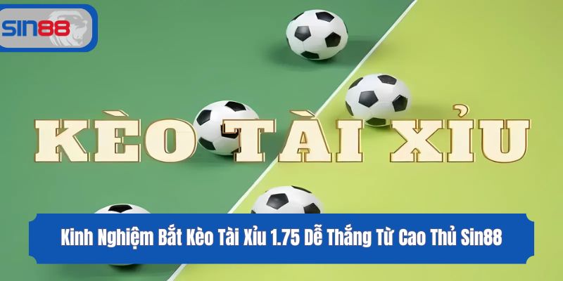 Kinh Nghiệm Bắt Kèo Tài Xỉu 1.75 Dễ Thắng Từ Cao Thủ Sin88