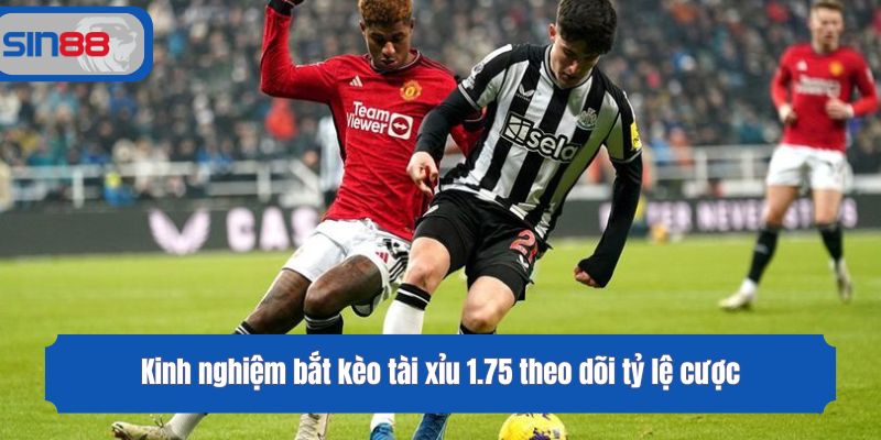 Kinh nghiệm bắt kèo tài xỉu 1.75 theo dõi tỷ lệ cược