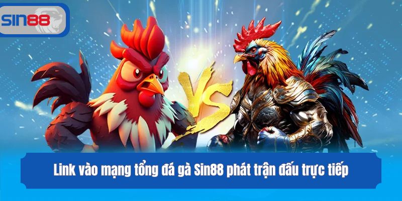 Link vào mạng tổng đá gà Sin88 phát trận đấu trực tiếp