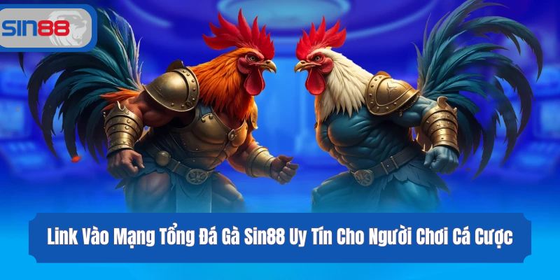 Link Vào Mạng Tổng Đá Gà Sin88 Uy Tín Cho Người Chơi Cá Cược