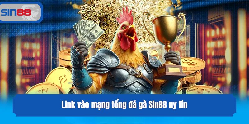 Link vào mạng tổng đá gà Sin88 uy tín