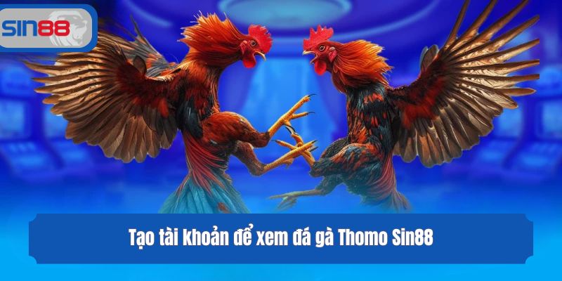 Tạo tài khoản để xem đá gà Thomo Sin88