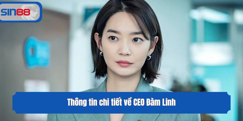 Thông tin chi tiết về CEO Đàm Linh